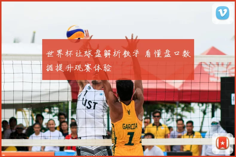 世界杯让球盘解析教学 看懂盘口数据提升观赛体验