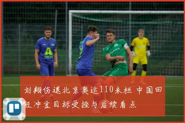 刘翔伤退北京奥运110米栏 中国田径冲金目标受挫与后续看点