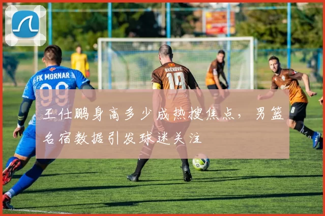 王仕鹏身高多少成热搜焦点，男篮名宿数据引发球迷关注