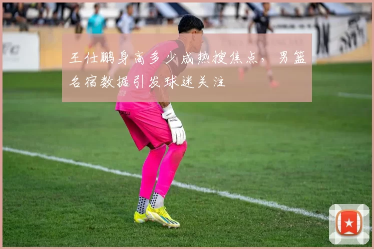 王仕鹏身高多少成热搜焦点，男篮名宿数据引发球迷关注
